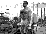 Barbell Curl