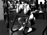 Barbell Preacher Curl