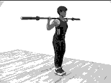 Barbell Rear Lunge