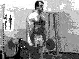Barbell Reverse Curl