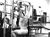 Cable Rear Pulldown