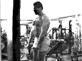 Cable Reverse Curl