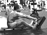 Cable Seated Row (Wide Grip)
