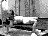 Dumbbell Bench Press