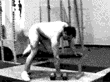 Dumbbell Bent-over Row