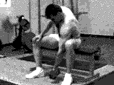 Dumbbell Concentration Curl