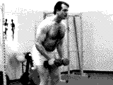 Dumbbell Lateral Raise