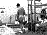 Dumbbell Single Leg Calf Raise