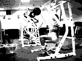 Lever Chest Press
