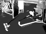 Lever Lying Rear Lateral Raise
