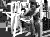 Lever Preacher Curl