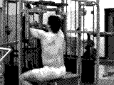 Lever Seated Rear Lateral Raise (Gripless)
