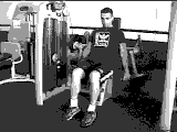 Lever Reverse Curl