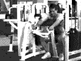 Lever Reverse Preacher Curl