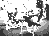 Lever Seated Leg Curl