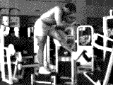 Lever Standing Leg Curl (on multi-hip machine)