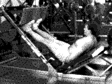 Sled 45° Calf Press