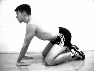 Kneeling Wrist Flexor Stretch