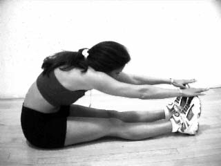 Seated Hamstring Stretch