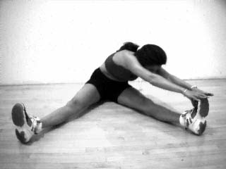 Seated Single Leg Hamstring Stretch