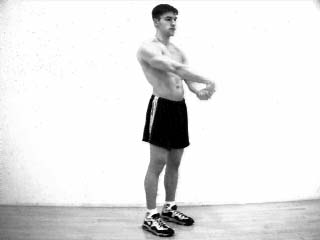 Single Arm Wrist Extensor Stretch