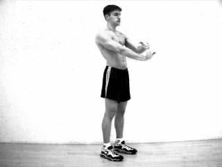 Single Arm Wrist Flexor Stretch