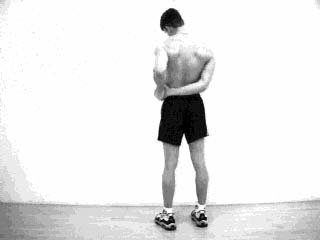 Upper Trapezius Stretch