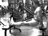 Weighted Bench Dip